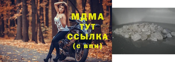 стаф Богданович