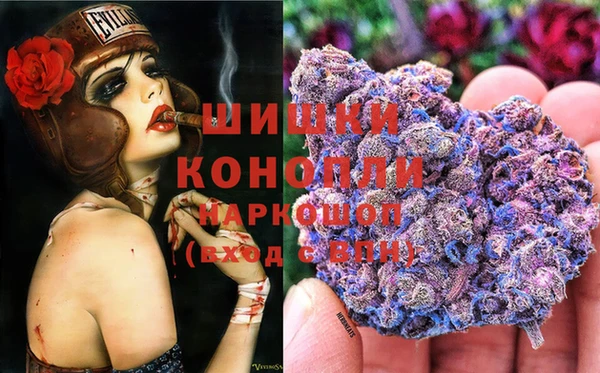 мяу мяу мука Аркадак